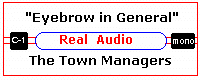 Eyebrow in General, click for audio